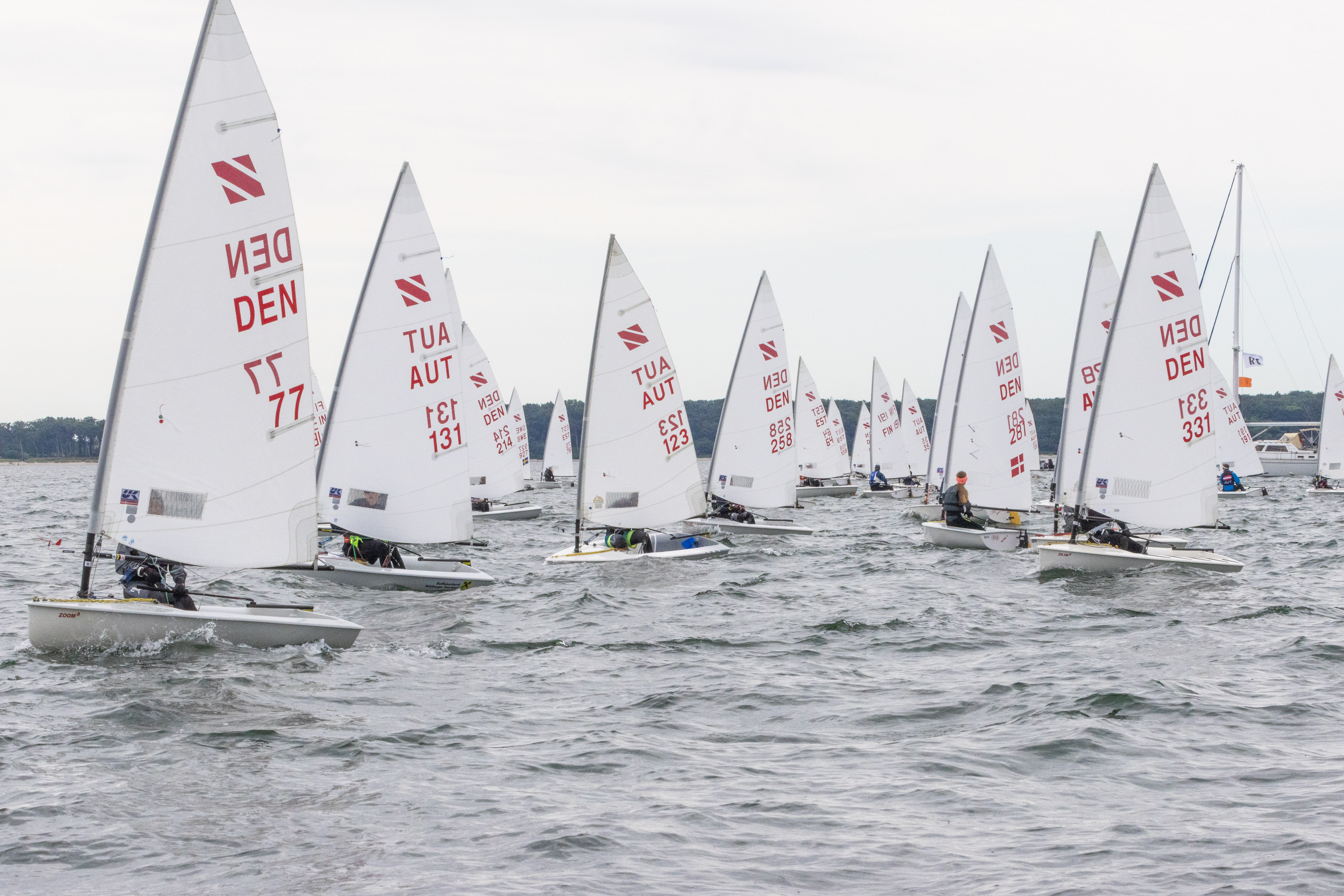 Segelboote bei einer Regatta auf dem Wasser, viele Boote mit weißen Segeln, einige mit roten Kennzeichnungen, und Menschen auf den Booten, unter einem bewölkten Himmel.
